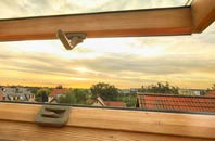 rated Carbis Bay roof window companies